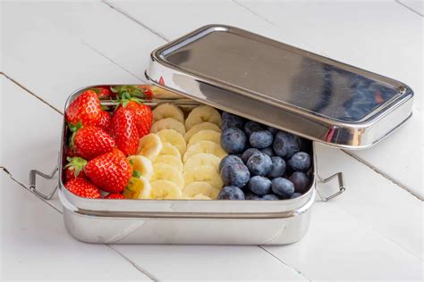 Top Stainless Steel Lunch Boxes for Kids (Plastic